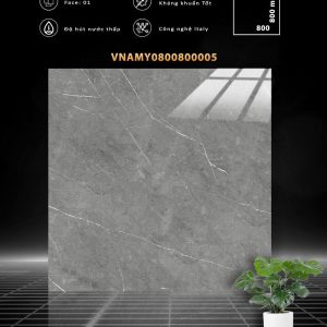 VNAMY0800800005