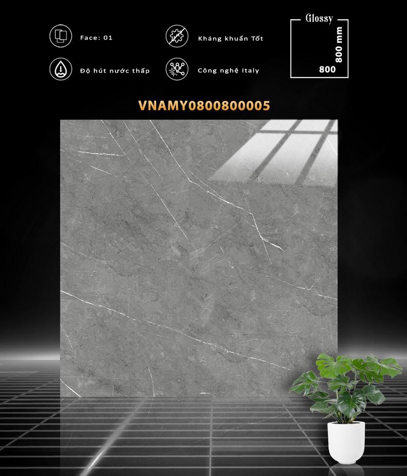 VNAMY0800800005 VNAMY0800800005