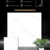 vdn0800800022