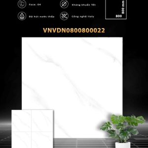 vdn0800800022
