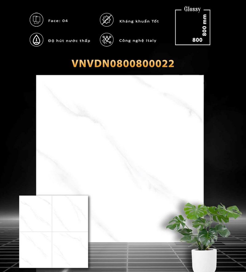 vdn0800800022 vdn0800800022