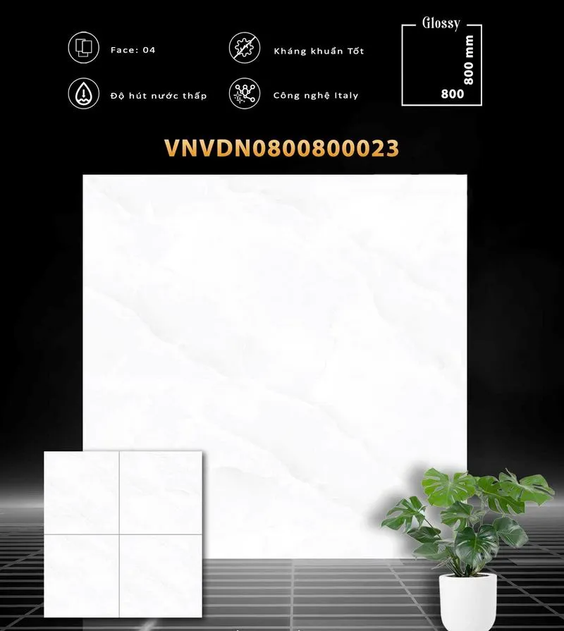VDN0800800023 VDN0800800023