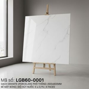 LGB60-0001