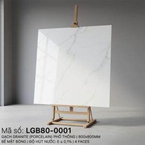 LGB80-0001