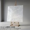 LGB80-0008