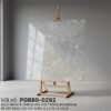 PGB80-0292