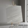 GSM80-8305