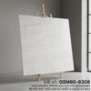 GSM80-8308