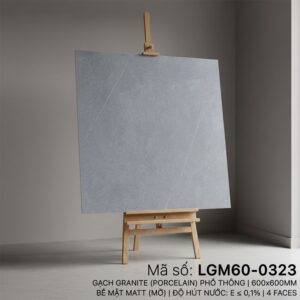 LGM60-0323