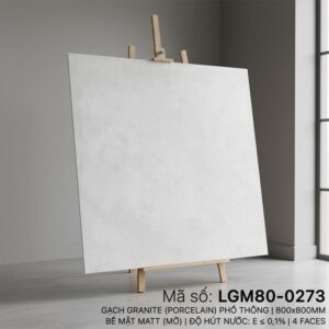 LGM80-0273