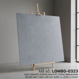 LGM80-0323