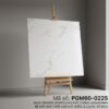 PGM60-0225