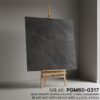 PGM60-0317