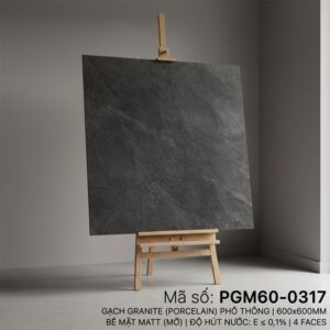 PGM60-0317