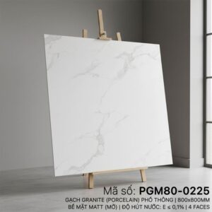 PGM80-0225