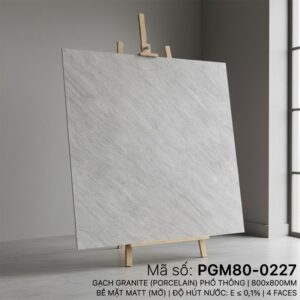 PGM80-0227