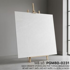 PGM80-0231
