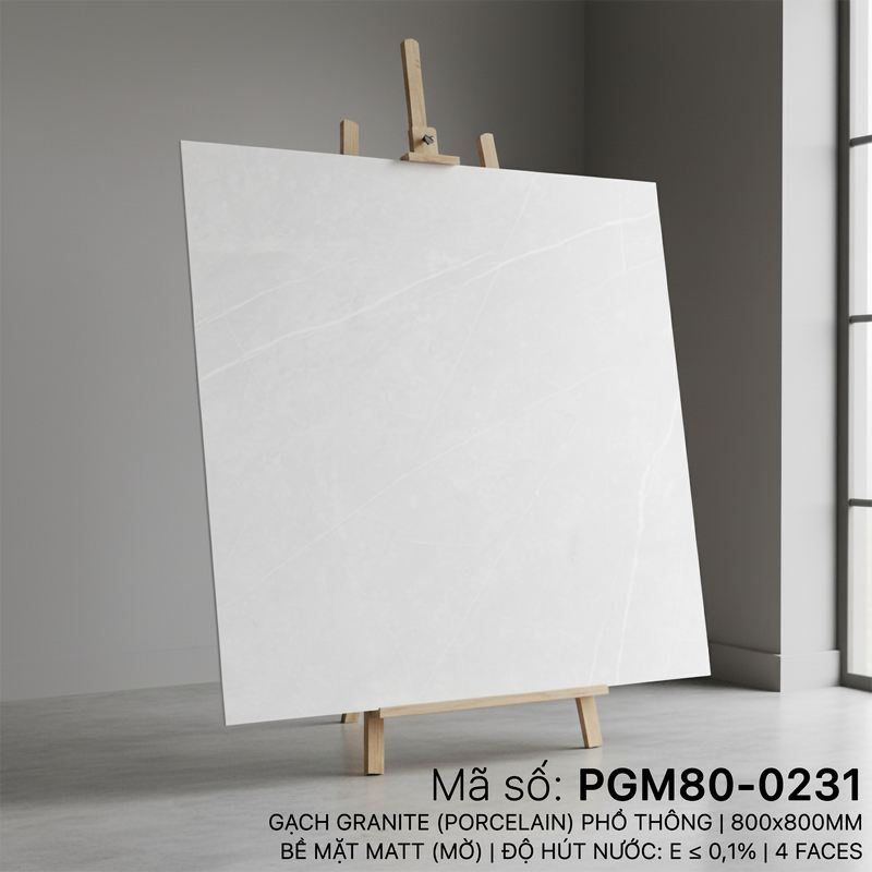 PGM80-0231 PGM80-0231
