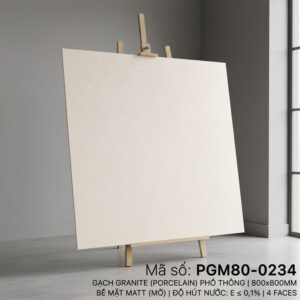 PGM80-0234