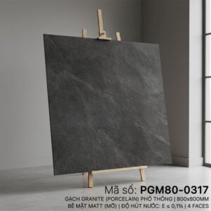 PGM80-0317