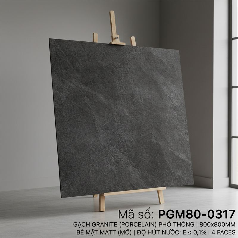 PGM80-0317 PGM80-0317