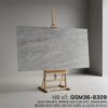 GSM36-8309