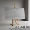 LGM36-0285