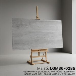 LGM36-0285