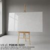 PGB36-0231