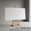 PGM36-0225