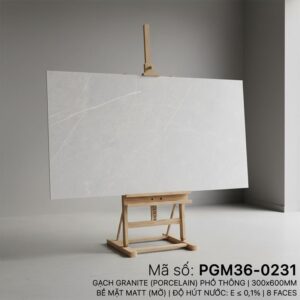 PGM36-0231
